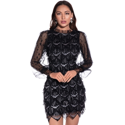 European and American women's new fringe embroidery sequin dress sexy mesh long sleeve dress skirt
